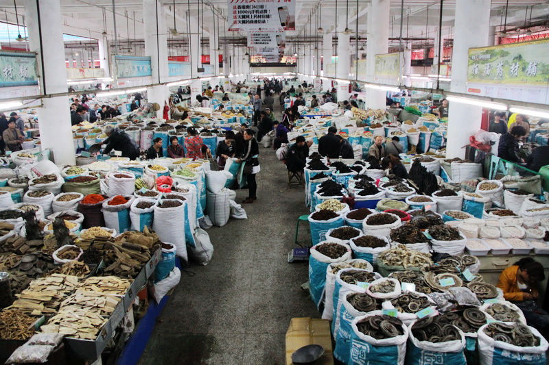 探访亳州中药材交易市场 现状与机遇分析